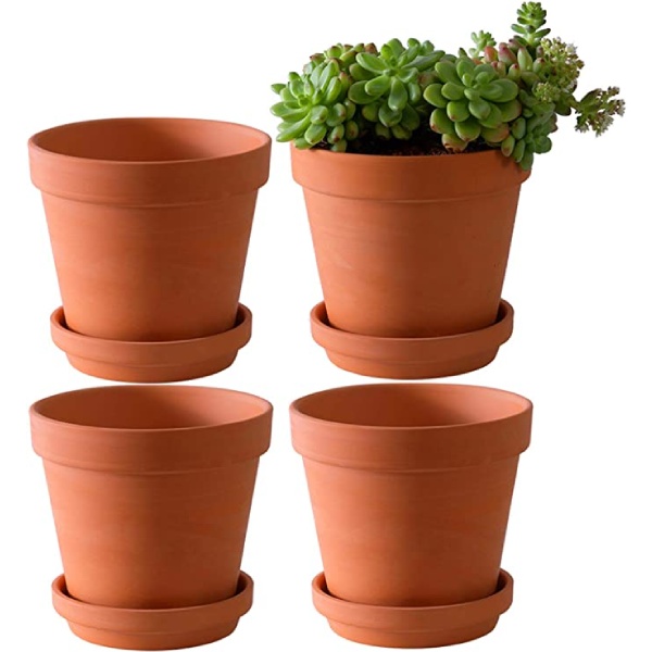 Terra - The gardening solutions+Clay Pots