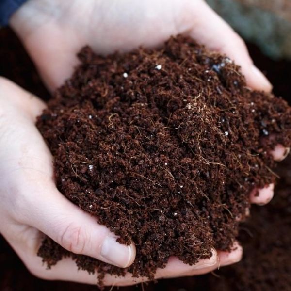 Terra - The gardening solutions+Organic Manure