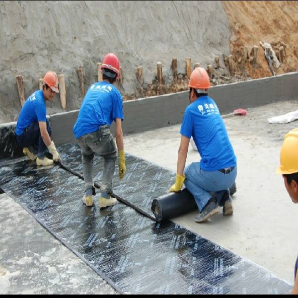 Rooftech Water Proofing+Membrane Water Proofing