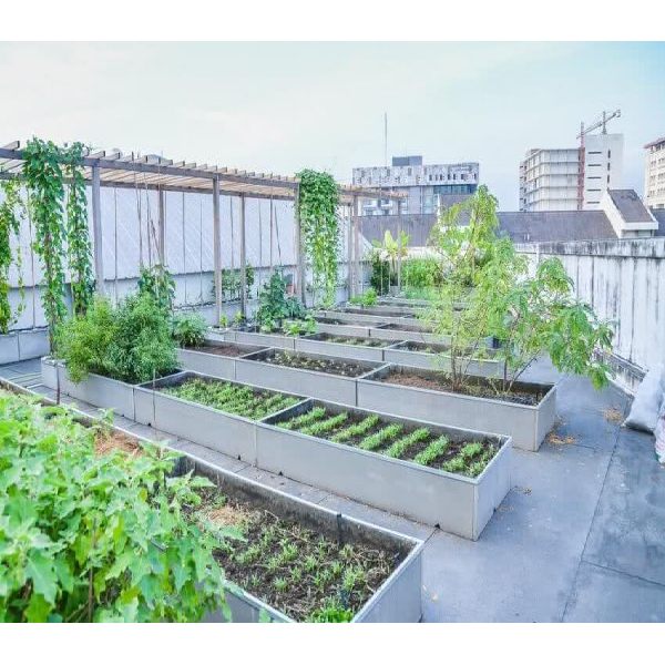 Rooftech Water Proofing+Terrace Garden Water Proofing